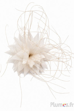 Plume Gans - Ø 15 cm - creme